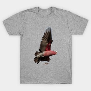 Galah_01C T-Shirt